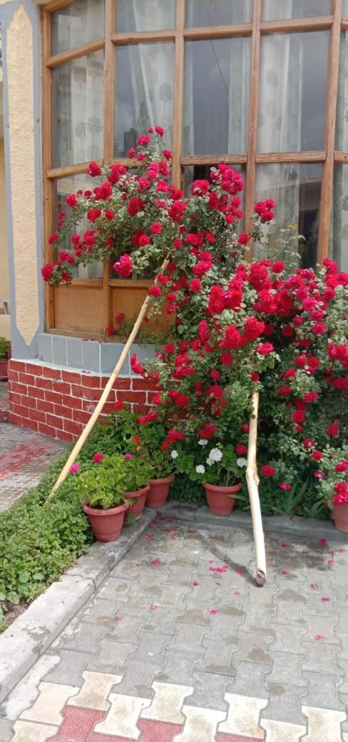 Hotel Lonchay Residency Leh Bagian luar foto